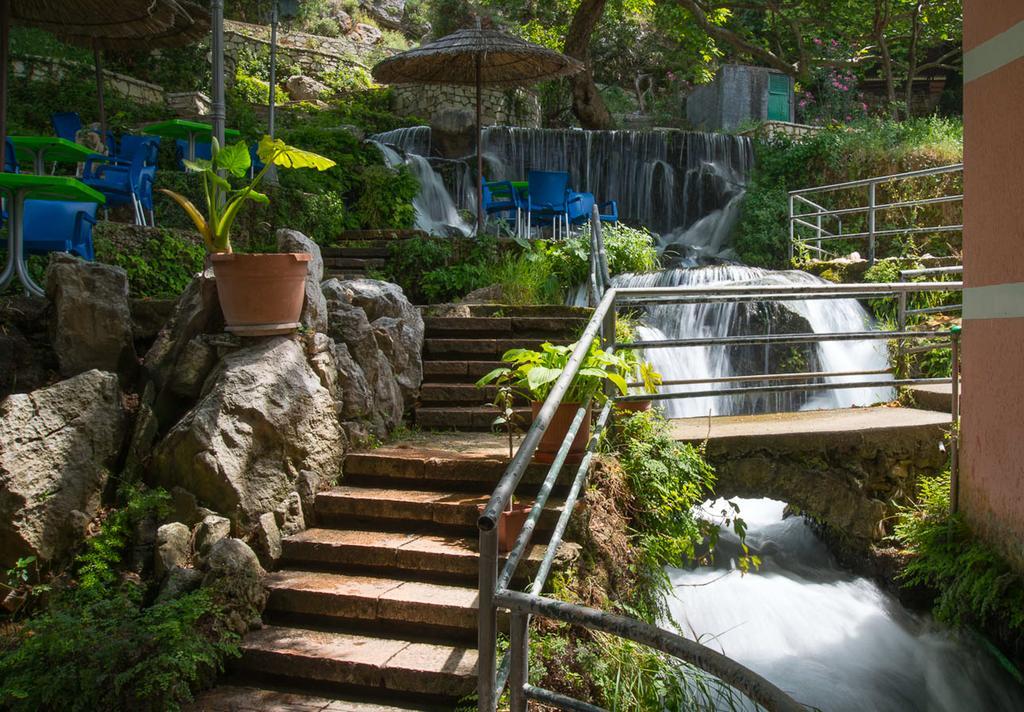 Vila Florika Hotel 보르쉬 외부 사진